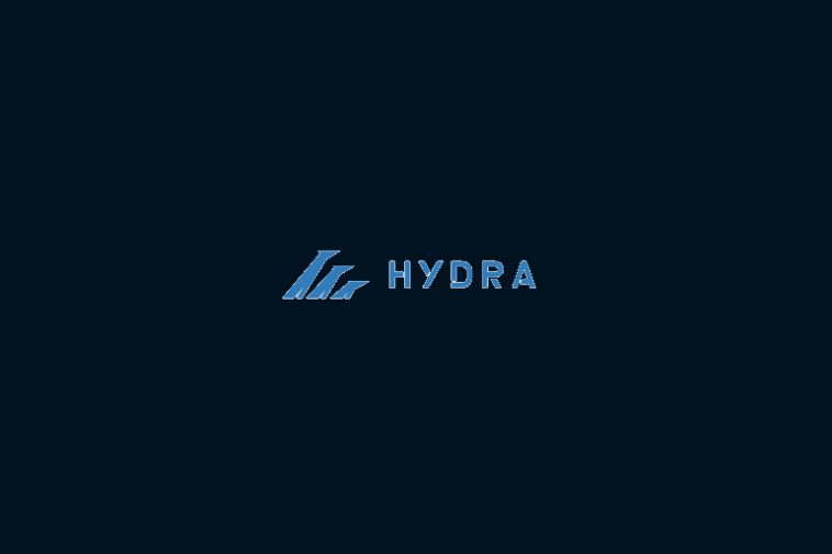 hydra market logo